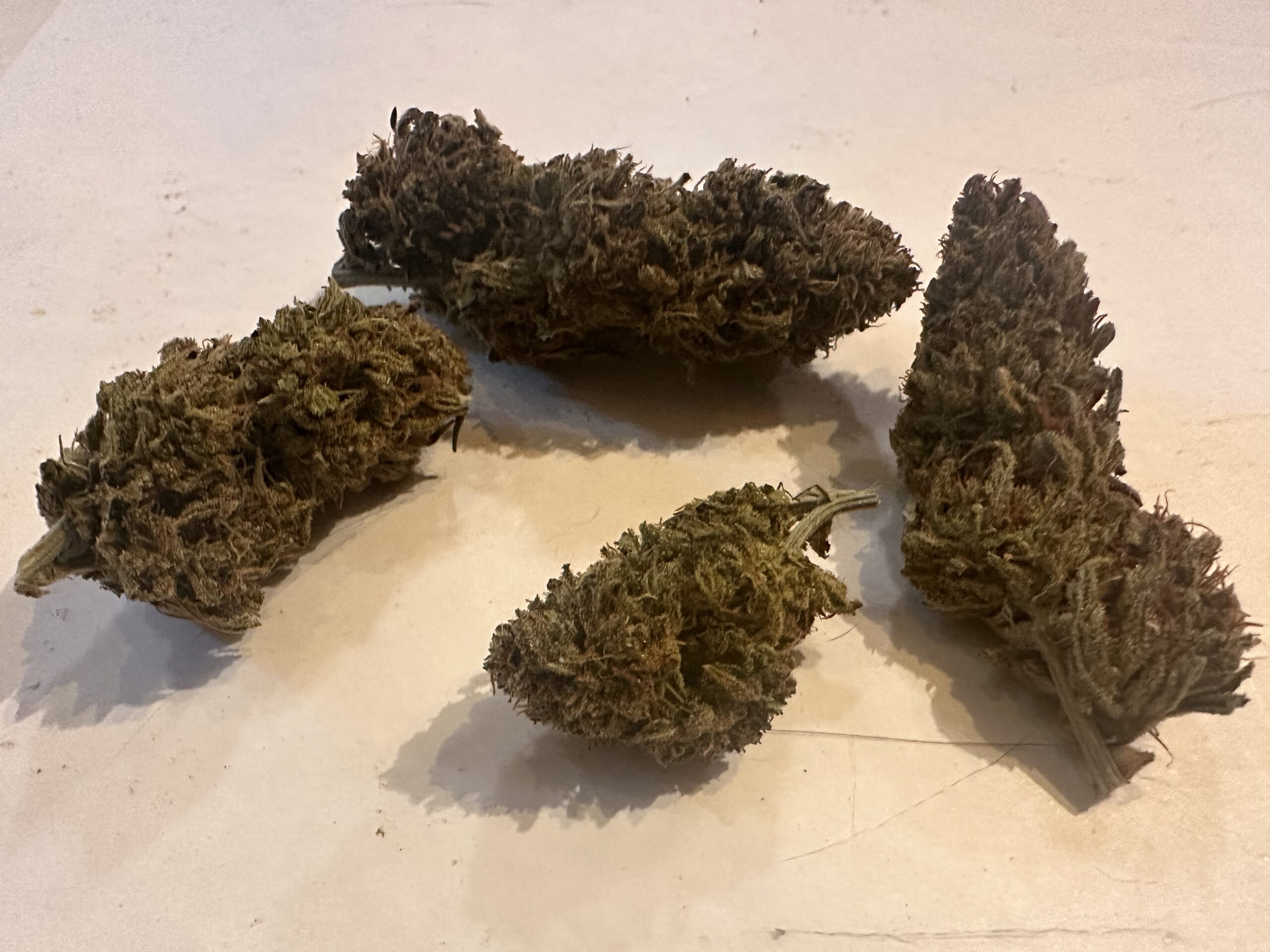 Purple Panties Cannabis Strain Review - Industrial Hemp Farms