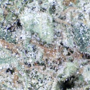 'Peanut Butter Breath' by:   Mountain Canna Farms   1/3 oz