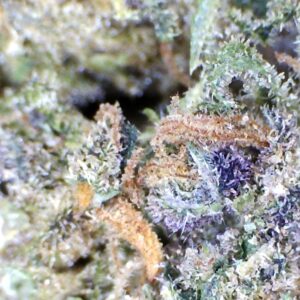 FRONTIER FUEL BY: MOUNTAIN CANNA FARMS