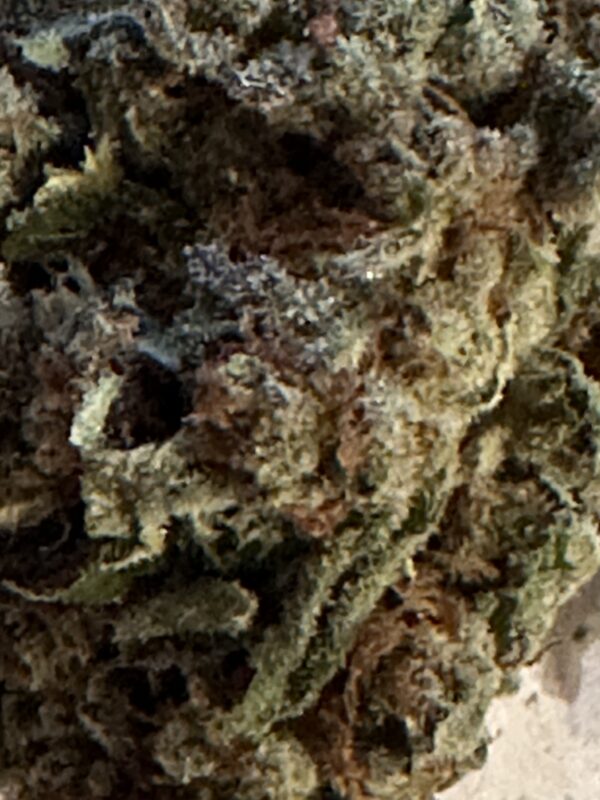 RED VELVET By: Mountain Canna Farms          1/3 oz - Image 3