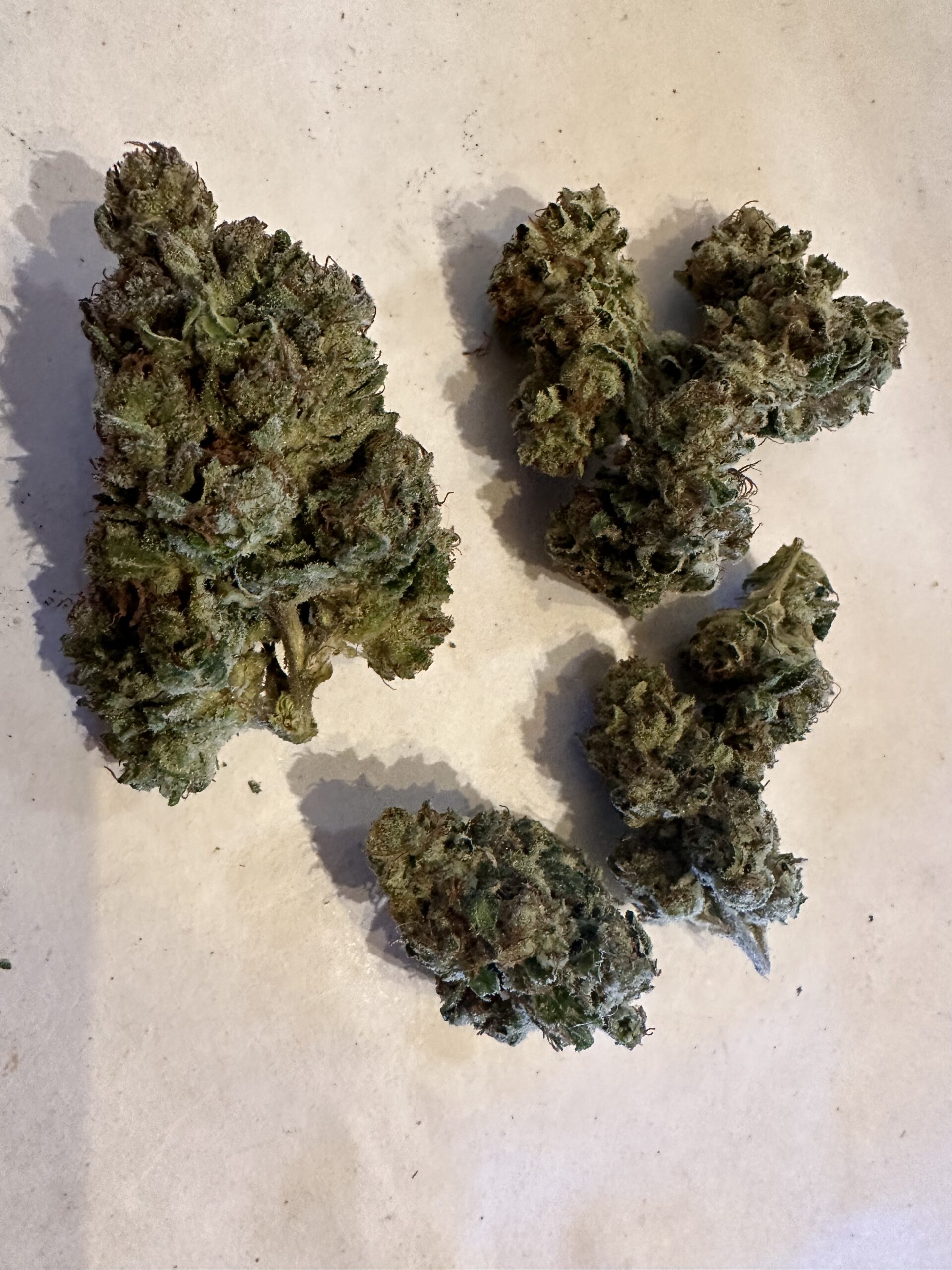 LONDON TRUFFLE By Patton Farms Trinity Growers Co.