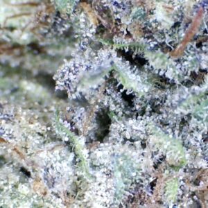 Super Boof Cherry     by: Patton Farms   '1/3 oz'