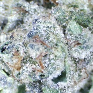 Presidential Runtz   by: Patton Farms    1/3 oz