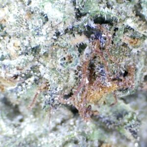 Super Runtz   by: Patton Farms   1/3 oz