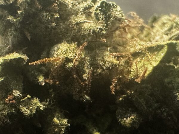 War Head  by: Patton Farms    1/3 oz - Image 8