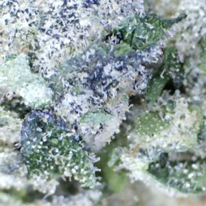 Goudaberry  by Mountain Canna Farms.     Indoor grown