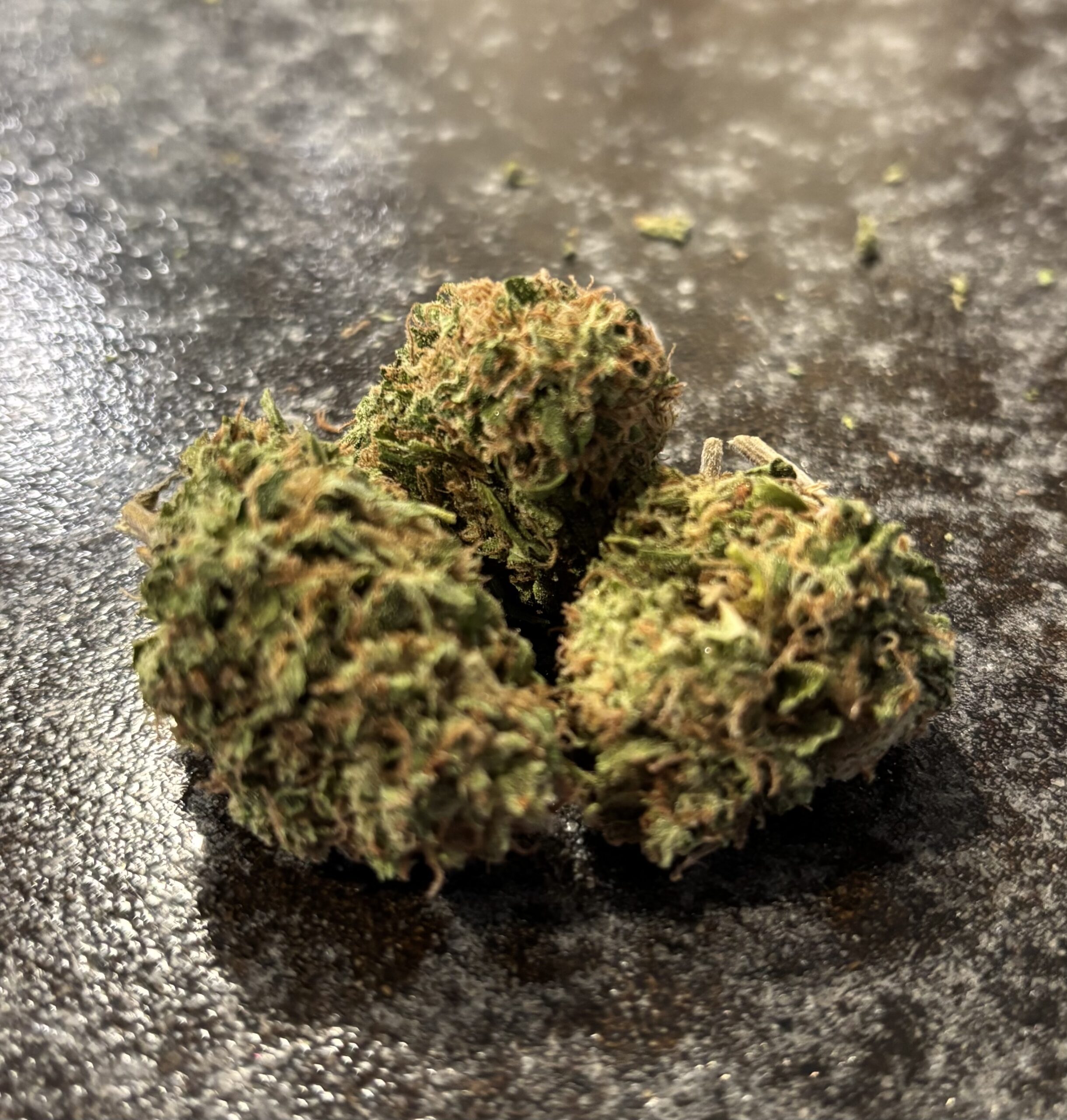 Gorilla Lemon Fire by: Mountain Made Farm 1/3oz