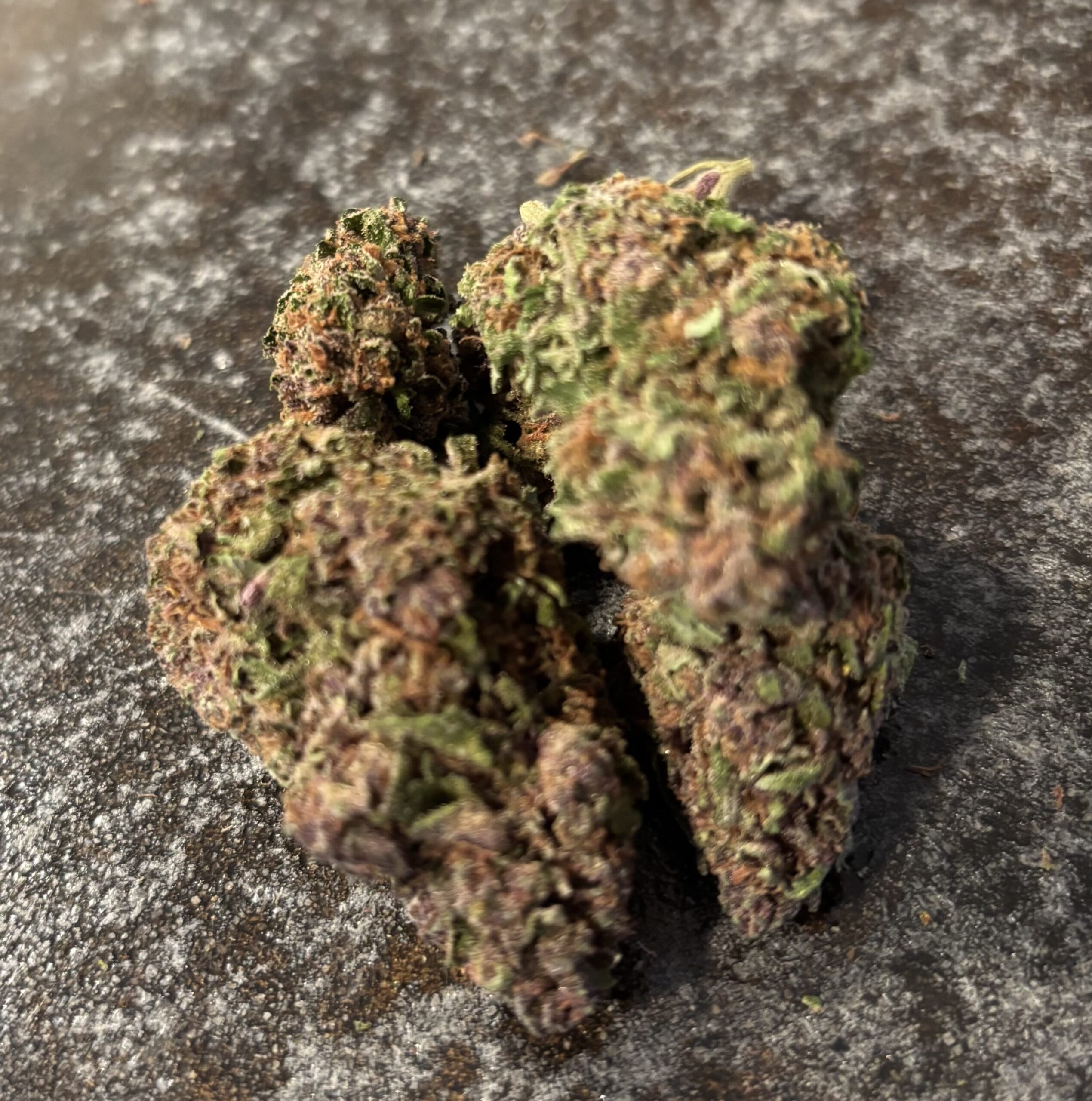 Poison Pakistani by: Mountain Made Farm 1/3oz