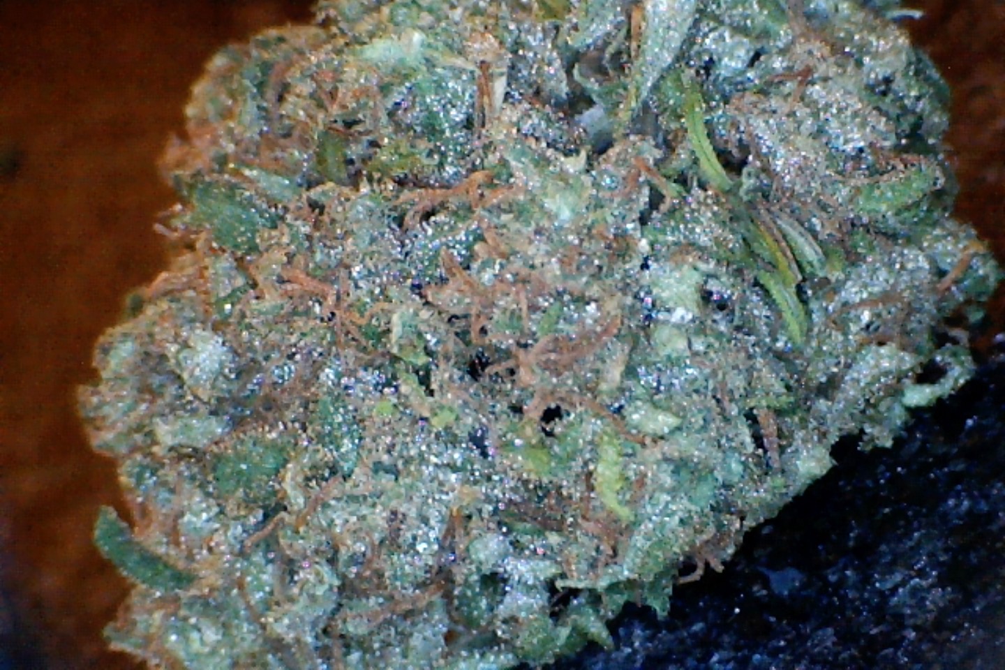 Panama Red by: Mountain Made Farm 1/3oz - Image 2