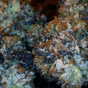 Bapez #1   by: Mountain Canna Farm     1/3oz