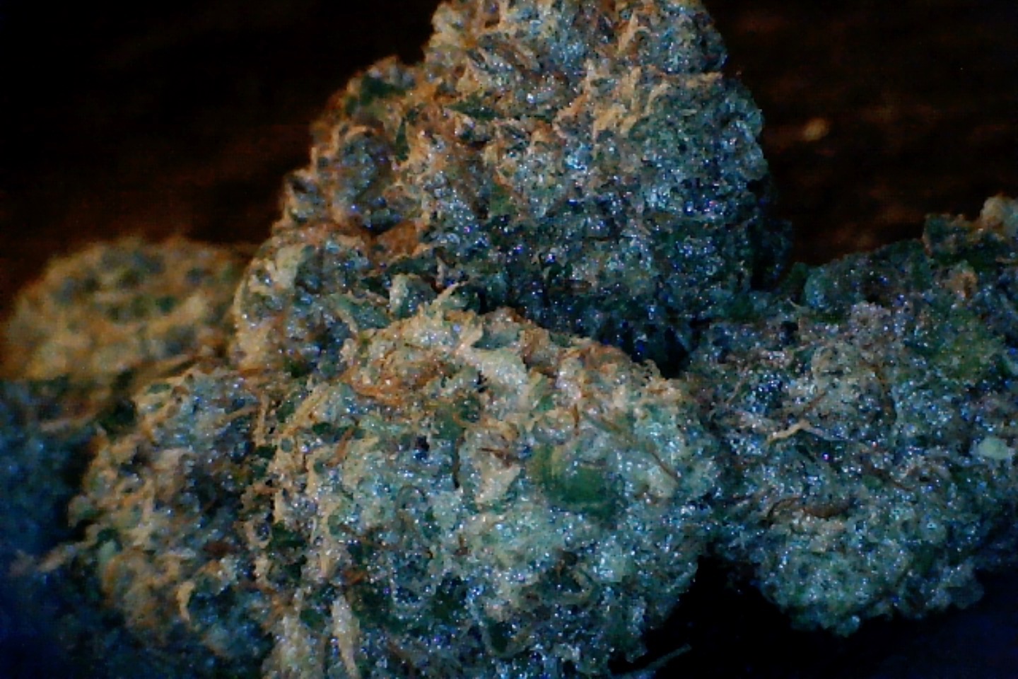 Strawberry Lemonade by: Mountain Canna Farm 1/3oz - Image 5