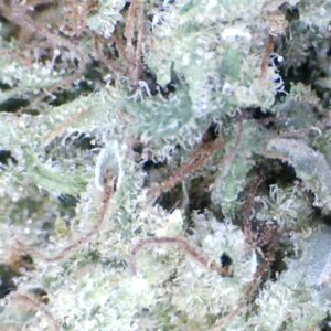 'Fruit Stripes' by: Mountain Made Farm 1/3 oz