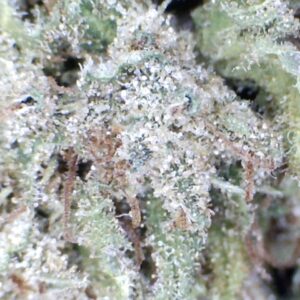 'Pink Man Goo' by: Mountain Made Farm 1/3 oz