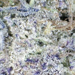 'Rainbow Chip'  by Mountain Canna Farms     1/3oz