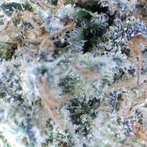 Velvet Runtz by: Mountain Made Farm 1/3oz