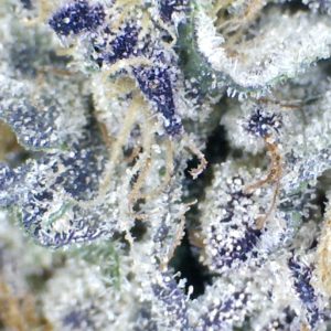 Jealousy Cheesecake    by: Mountain Canna farms