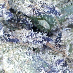 Gelato Pop. by: Mountain Canna Farms. 10grams