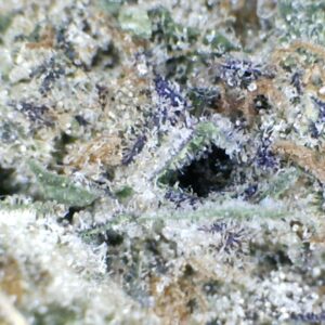 'Blueberry OG' by: Big Creek Farms 10gm. Indoor Grown